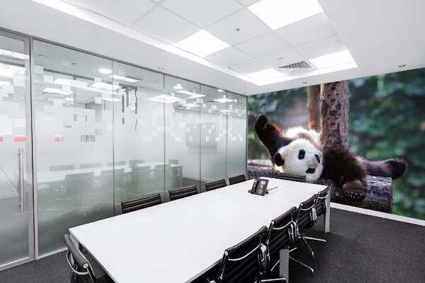 DIMEX | Vliesové fototapety na stenu Panda MS-5-0623 | 375 x 250 cm | zelená, biela, čierna