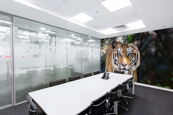 Samolepiaca vliesová fototapeta Veľký bengálsky tiger 375 x 250 cm