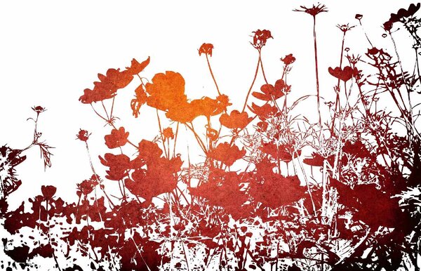 DIMEX | Vliesové fototapety na stenu Kvetinová textúra MS-5-1326 | 375 x 250 cm | červená, biela, čierna