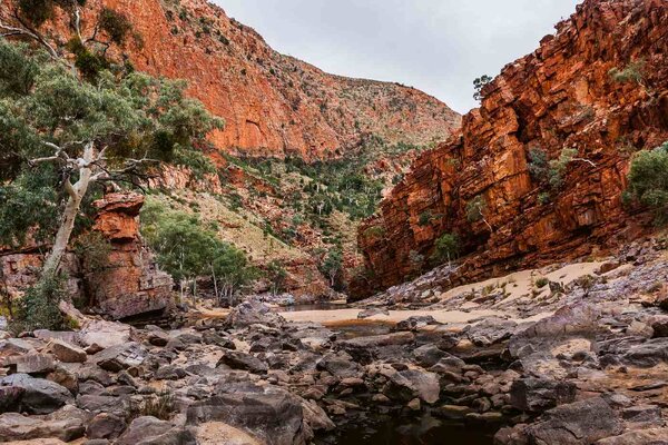 DIMEX | Vliesové fototapety na stenu Austrálsky národný park MS-5-1679 | 375 x 250 cm | zelená, oranžová, šedá