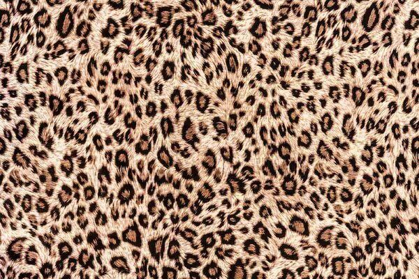 DIMEX | Vliesové fototapety na stenu Leopardia koža MS-5-2579 | 375 x 250 cm | béžová, čierna, hnedá