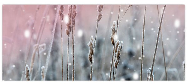 Obraz - Okamih (120x50 cm)