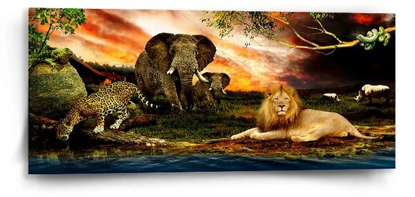Sablio Obraz Zvieratá zo Sahary - 110x50 cm