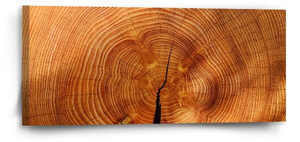 Sablio Obraz Drevo 2 - 110x50 cm