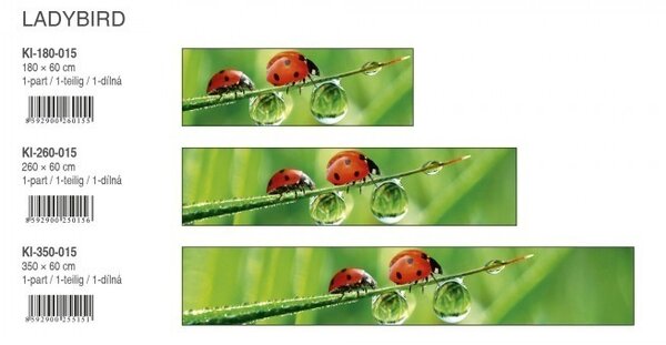 DIMEX | Fototapeta do kuchyne Beruška KI-350-015 | 350 x 60 cm | zelená, červená, čierna