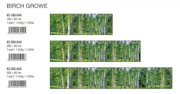DIMEX | Fototapeta do kuchyne Brezový háj KI-350-044 | 350 x 60 cm | zelená, biela, čierna