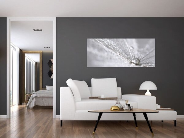 Obraz - Kvapka vody (120x50 cm)