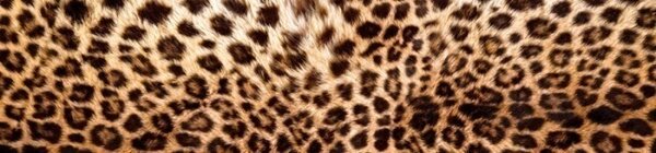 DIMEX | Fototapeta do kuchyne Leopardia koža KI-260-069 | 260 x 60 cm | béžová, čierna, hnedá
