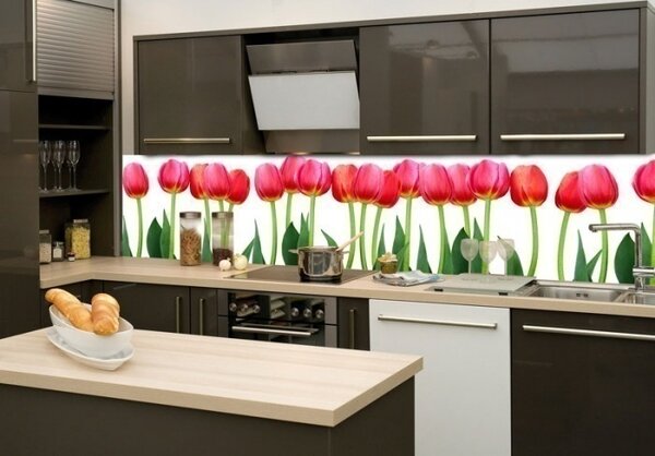DIMEX | Fototapeta do kuchyne Tulipány KI-260-058 | 260 x 60 cm | zelená, červená