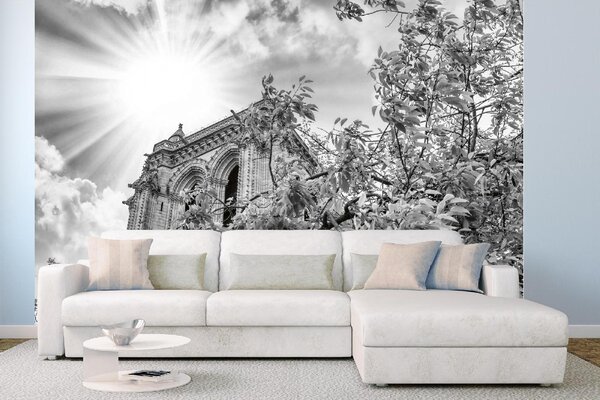DIMEX | Vliesové fototapety na stenu Notre Dame detaily MS-5-1023 | 375 x 250 cm | biela, šedá