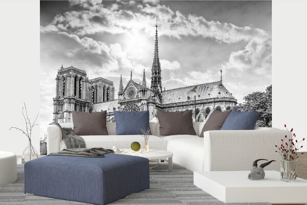 DIMEX | Vliesové fototapety na stenu Katedrála Paríž MS-5-1039 | 375 x 250 cm | biela, šedá