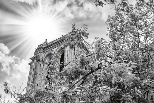DIMEX | Vliesové fototapety na stenu Notre Dame detaily MS-5-1023 | 375 x 250 cm | biela, šedá