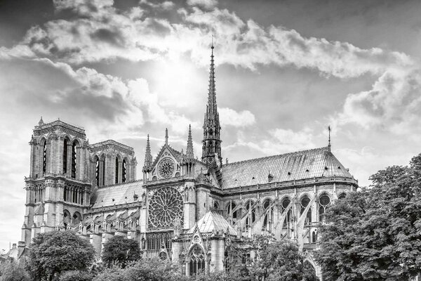 DIMEX | Vliesové fototapety na stenu Katedrála Paríž MS-5-1039 | 375 x 250 cm | biela, šedá