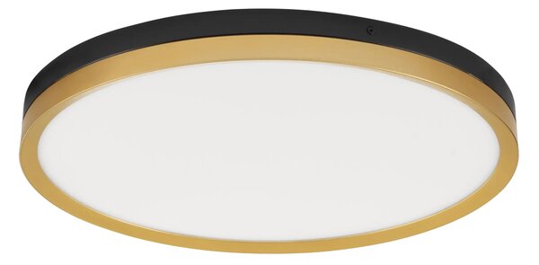 LED stropné svietidlo Cantria 50