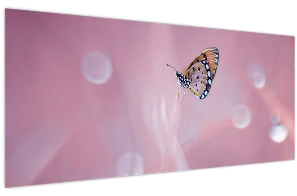 Obraz - Motýlik (120x50 cm)