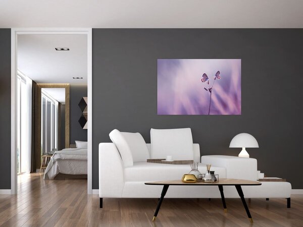 Obraz - Fialové motýliky (90x60 cm)