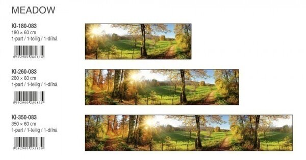 DIMEX | Fototapeta do kuchyne Lúka KI-350-083 | 350 x 60 cm | zelená, modrá, červená, žltá