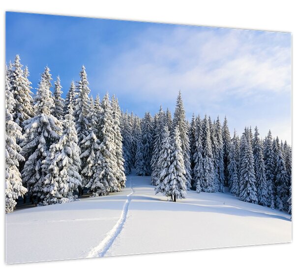 Obraz - Zima v lesoch (70x50 cm)