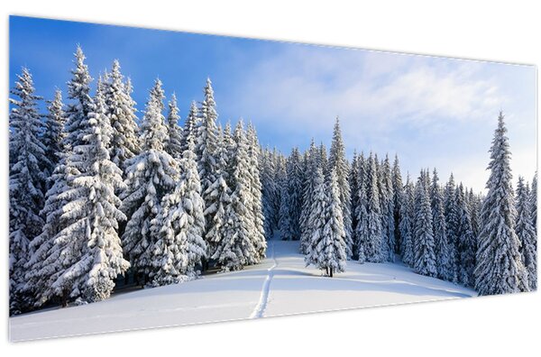 Obraz - Zima v lesoch (120x50 cm)