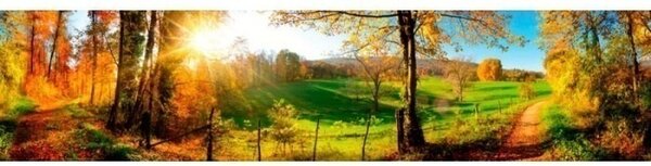 DIMEX | Fototapeta do kuchyne Lúka KI-260-083 | 260 x 60 cm | zelená, modrá, červená, žltá