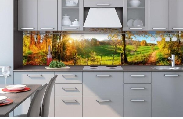 DIMEX | Fototapeta do kuchyne Lúka KI-260-083 | 260 x 60 cm | zelená, modrá, červená, žltá