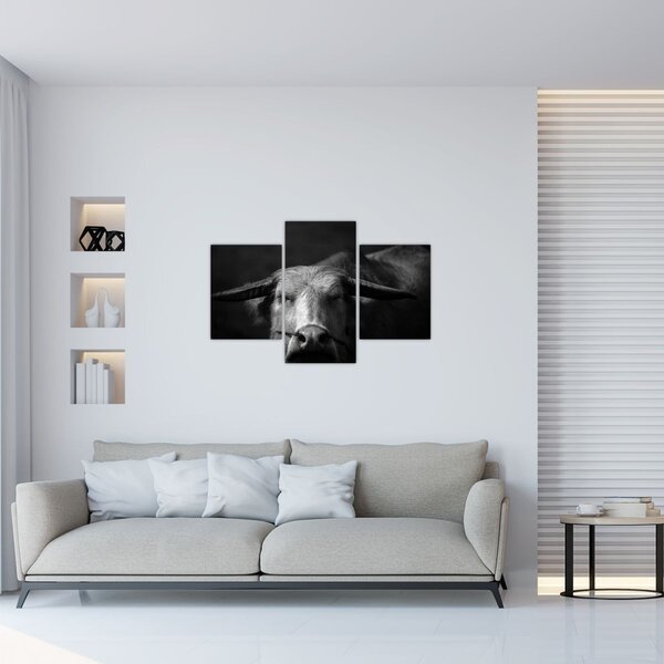 Obraz - Krava (90x60 cm)