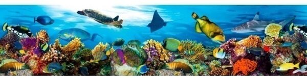 DIMEX | Fototapeta do kuchyne Ryby v oceáne KI-260-092 | 260 x 60 cm | viacfarebná, modrá