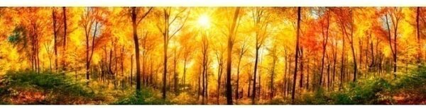 DIMEX | Fototapeta do kuchyne Slnečný les KI-260-084 | 260 x 60 cm | zelená, žltá, oranžová