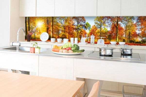 DIMEX | Fototapeta do kuchyne Farebný jesenný les KI-350-188 | 350 x 60 cm | hnedá, žltá, oranžová