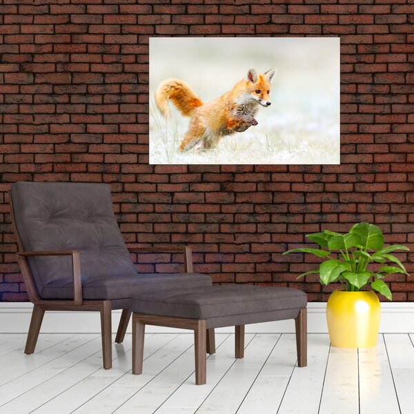 Obraz - Skákajúca líška (90x60 cm)