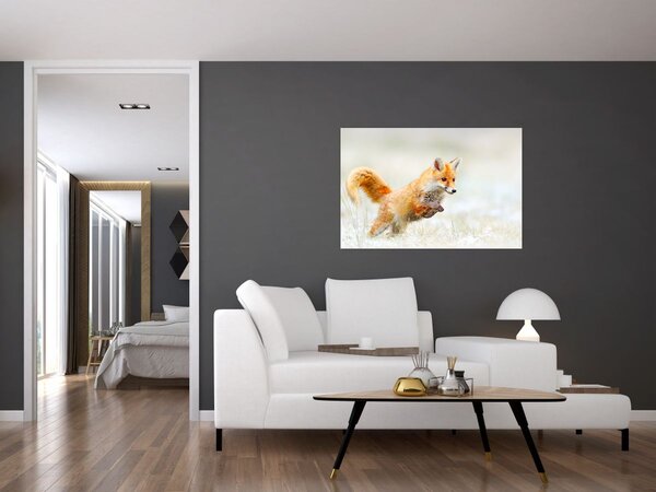 Obraz - Skákajúca líška (90x60 cm)