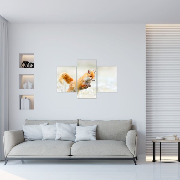 Obraz - Skákajúca líška (90x60 cm)