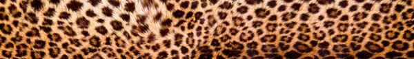DIMEX | Fototapeta do kuchyne Leopardia koža KI-420-069 | 420 x 60 cm | béžová, čierna, hnedá