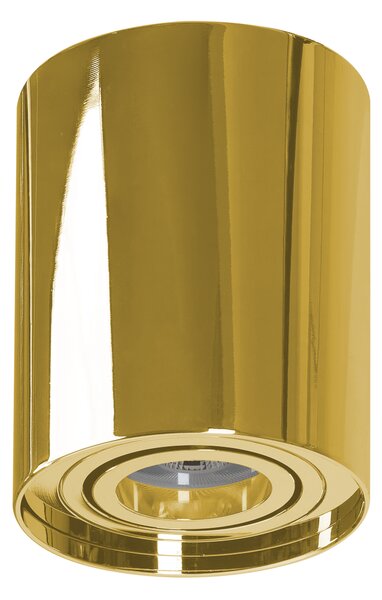Moderné bodové svietidlo Bross 1 zlatá – 1 x 50 W
