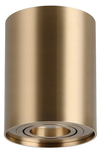 Moderné bodové svietidlo Bross 1 zlatá – 1 x 50 W