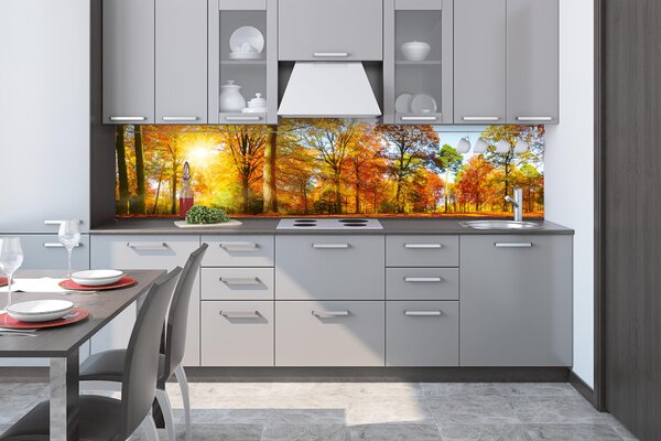 DIMEX | Fototapeta do kuchyne Farebný jesenný les KI-260-188 | 260 x 60 cm | hnedá, žltá, oranžová