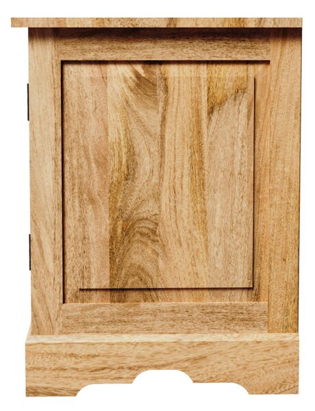 TV stolík Guru 140x60x45 indický masív mango