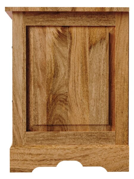 TV stolík Guru 150x60x45 indický masív mango
