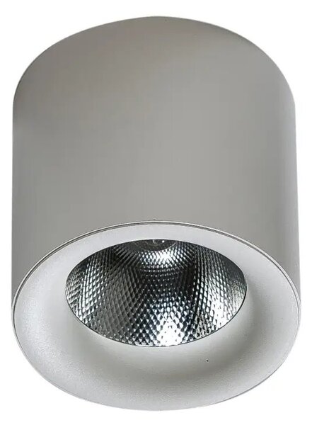 LED bodové svetlo Mane 20W Dimm biele – Biela