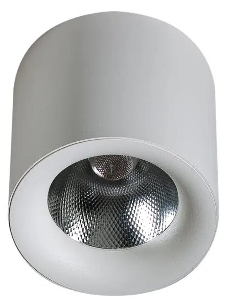 LED bodové svetlo Mane 20W Dimm biele – Biela