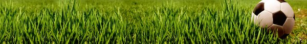 DIMEX | Fototapeta do kuchyne Futbal KI-420-038 | 420 x 60 cm | zelená, biela, čierna