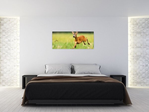 Obraz - Srnček (120x50 cm)