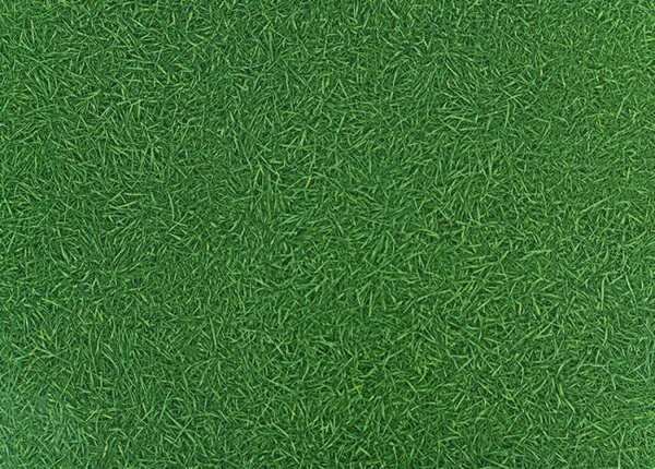 PVC podlaha Artifact Grass 025 imitácia trávy