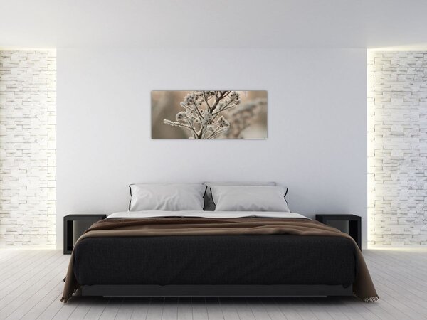Obraz - Rastlina v mraze (120x50 cm)