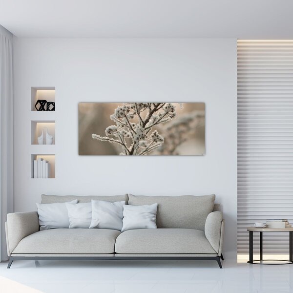 Obraz - Rastlina v mraze (120x50 cm)