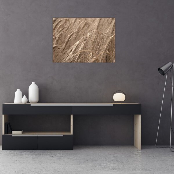 Obraz - Zlaté pole (70x50 cm)