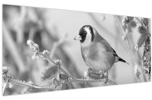 Obraz - Vtáčik v zime (120x50 cm)