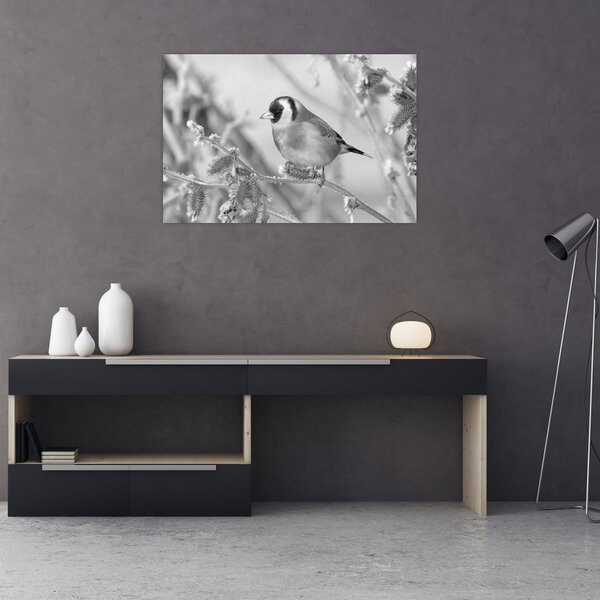 Obraz - Vtáčik v zime (90x60 cm)