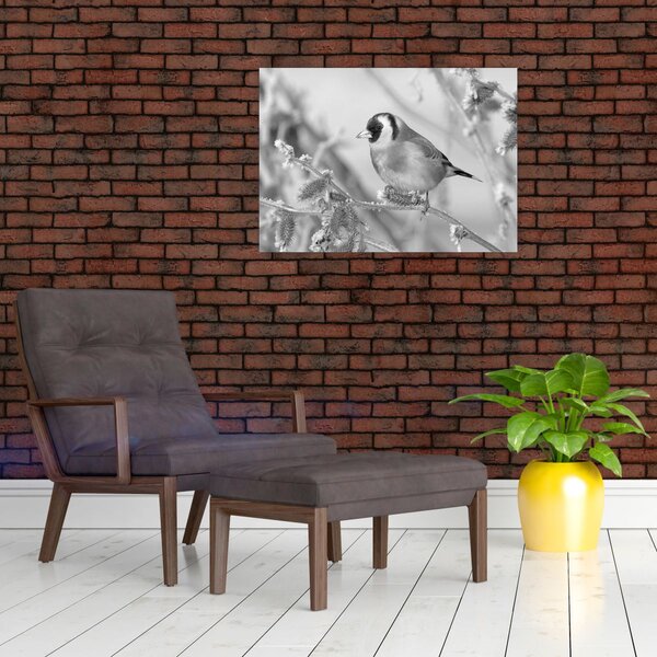 Obraz - Vtáčik v zime (70x50 cm)