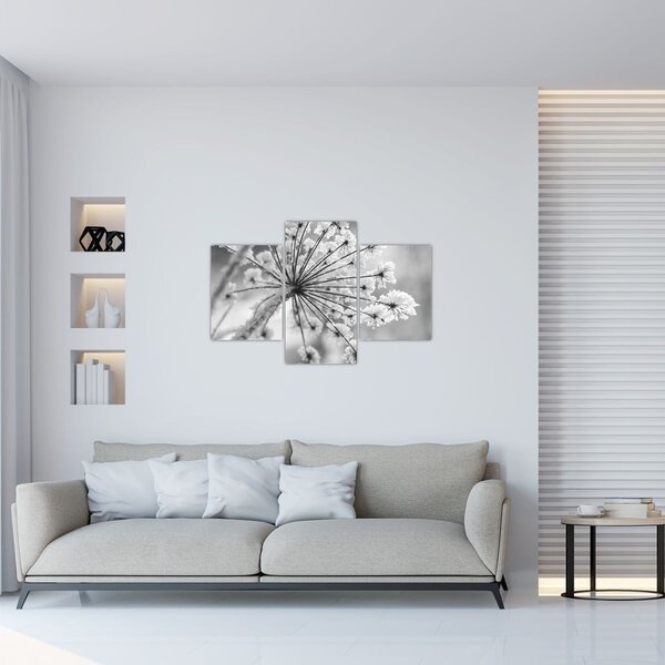 Obraz - Kvetina v zime (90x60 cm)